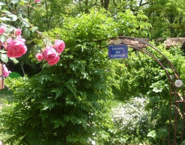 La Chambre D'Hote Au Gre Du Temps Montlaur  Buitenkant foto